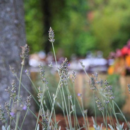 Podere La Miniera Relax & Food Siena Eksteriør billede