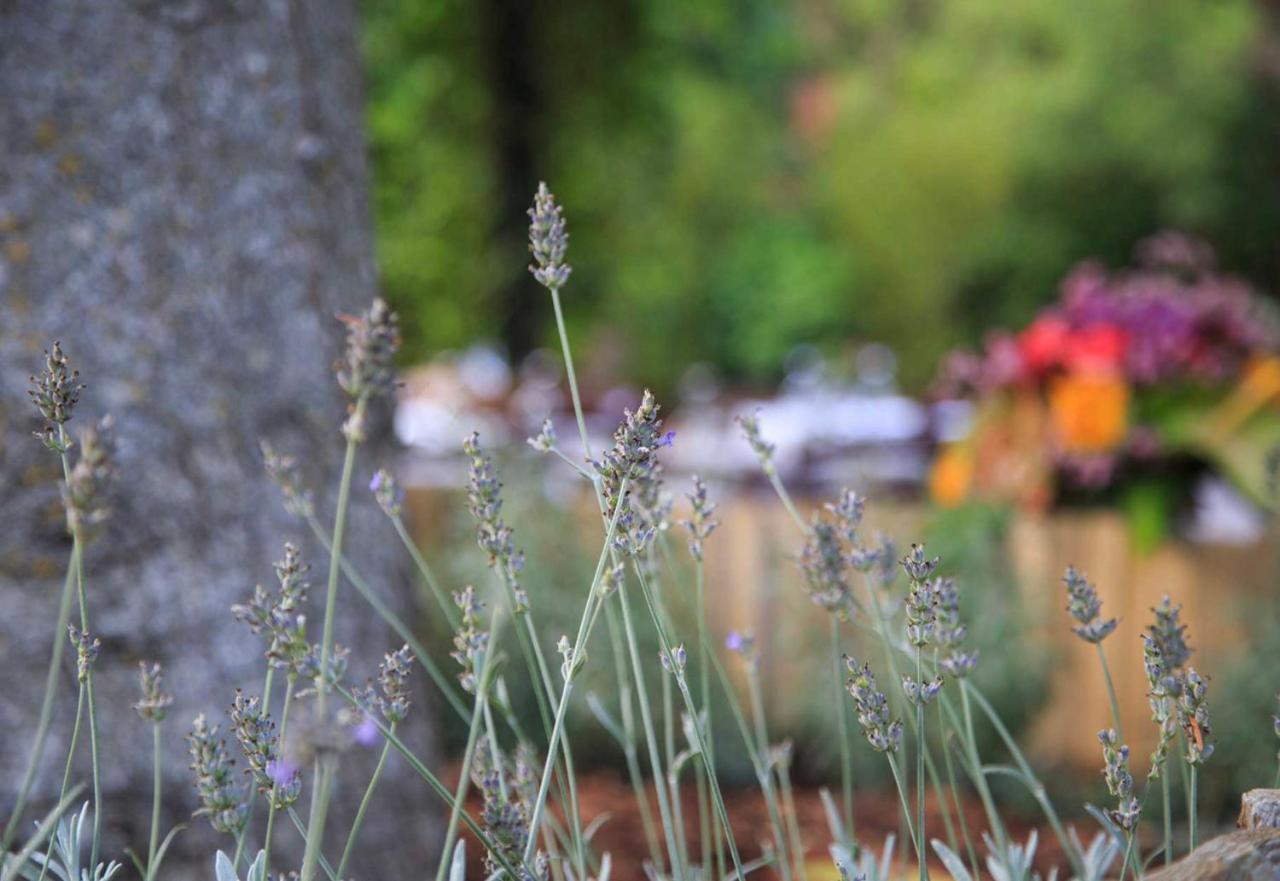 Podere La Miniera Relax & Food Siena Eksteriør billede